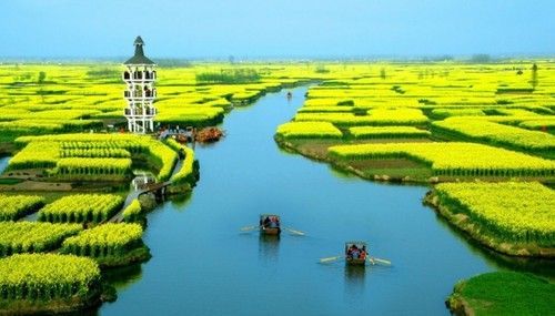 盤點(diǎn)全國(guó)13處絕美的油菜花觀賞地