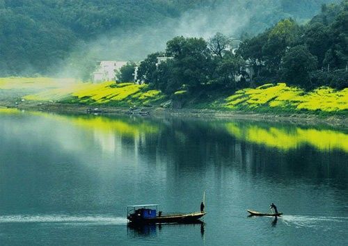 盤點(diǎn)全國(guó)13處絕美的油菜花觀賞地