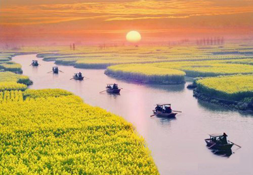 如何拍攝油菜花？達(dá)人教你7個(gè)拍攝技巧