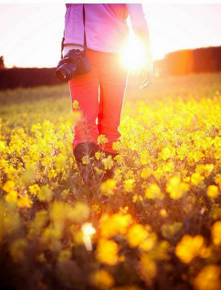 如何拍攝油菜花？達(dá)人教你7個(gè)拍攝技巧