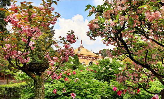 麻辣冬日二三五，芳菲三月看峨眉