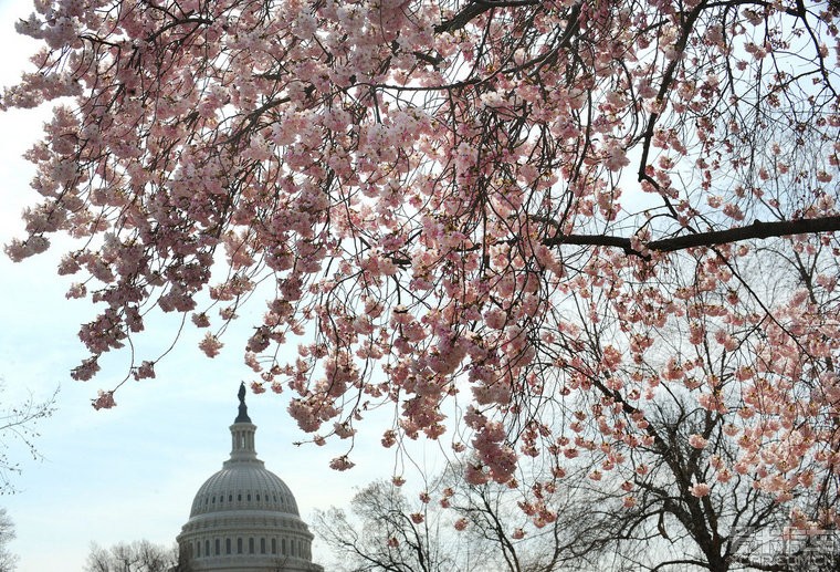出行去哪兒不用愁 細數(shù)全球春季實惠旅行地