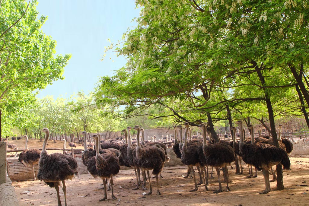 3月開(kāi)啟"女人模式" 最全約"惠"麗人節(jié)景區(qū)指南