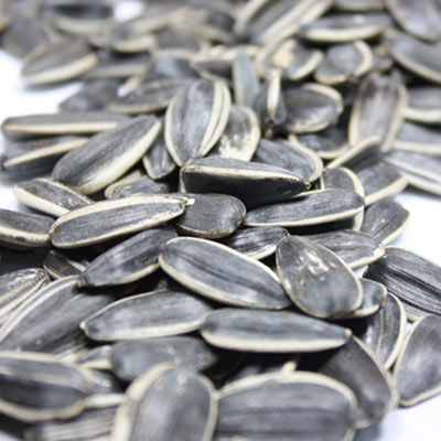 出國(guó)旅游海關(guān)檢查有講究 啥能帶啥不能帶？