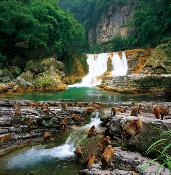 小長(zhǎng)假游客扎堆蟒河、擠爆猴山