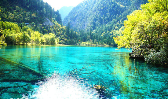 母親節(jié)，帶上爸媽去撒歡吧！！