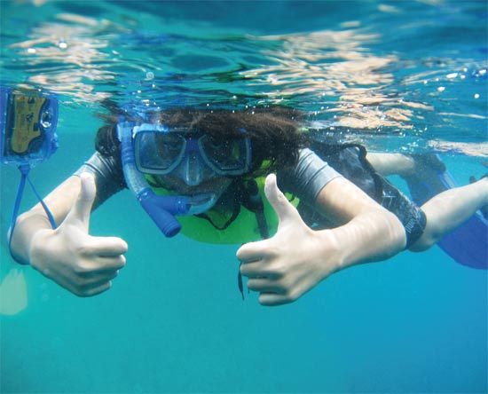 潛水不可不知道的小常識 潛水不可不知道的小常識