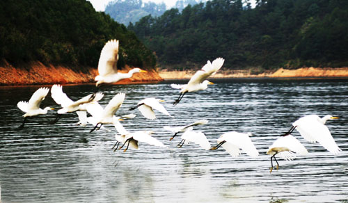 考完去哪兒？千島湖中、高考生門票大優(yōu)惠！