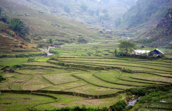 越南簽證費(fèi)下調(diào) 快去感受東南亞風(fēng)情 越南簽證費(fèi)下調(diào) 快去感受東南亞風(fēng)情