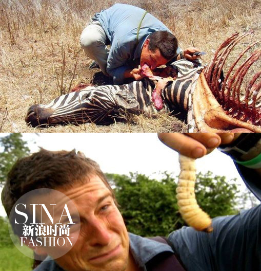 大型動(dòng)物和肉蟲子……也都能生吞活剝！