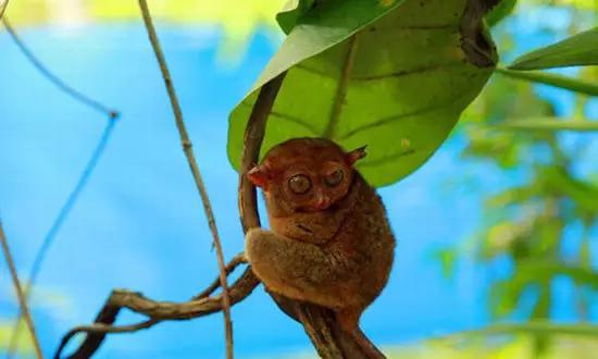 適合在冬天旅游的十個(gè)絕美海島！