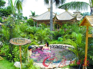 溫泉區(qū)樹木蔥蔥。