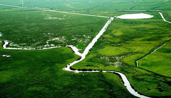 樂享綠色夏日 濕地公園生態(tài)親水之旅 樂享綠色夏日 濕地公園生態(tài)親水之旅
