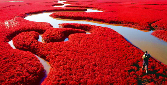 樂享綠色夏日 濕地公園生態(tài)親水之旅 樂享綠色夏日 濕地公園生態(tài)親水之旅