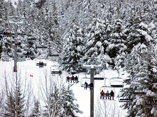 阿拉斯加，阿里耶斯卡