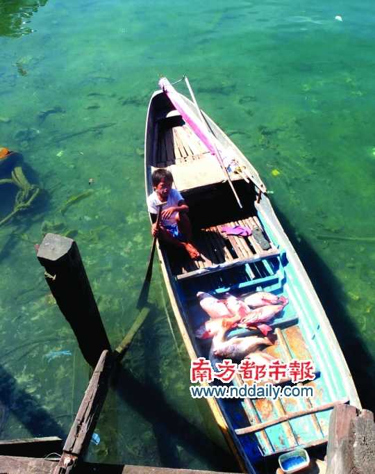 漁船上的孩子。