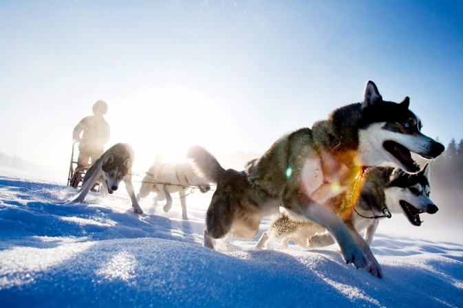 冬季貝加爾,適合享受冰上運(yùn)動(dòng),狗拉雪橇、雪上摩托車、雪地徒步等都是不錯(cuò)的選擇 F5.6,1/115秒