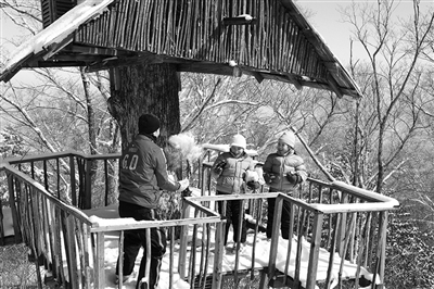 　　clubmed里有來自國外的滑雪教練教兒童滑雪?！? oldsrc=