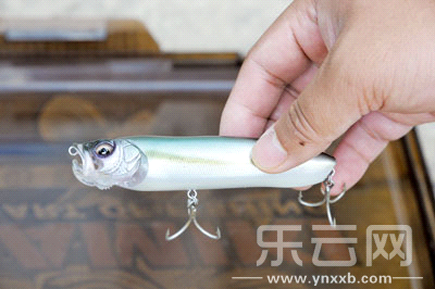 　　又稱擬餌釣魚,起源于歐洲,國(guó)內(nèi)翻譯為“路亞”。