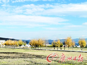 　　大理洱海湖畔美麗的鄉(xiāng)村景色。