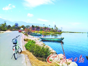 洱海的藍讓人沉醉。