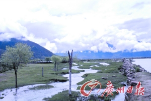 小路的一側(cè)是小溪,另一側(cè)是河流。