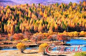 　　呼倫貝爾秋色。