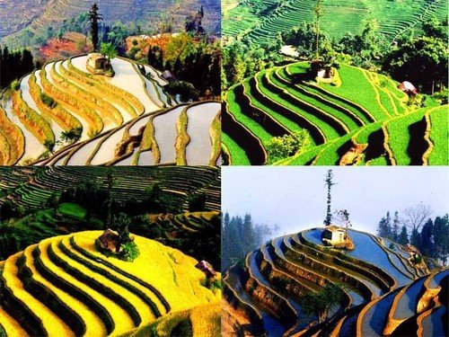 10處賞春采風地 拍出2013年的明媚春光 10處賞春采風地 拍出2013年的明媚春光