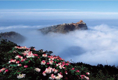 10處賞春采風地 拍出2013年的明媚春光 10處賞春采風地 拍出2013年的明媚春光