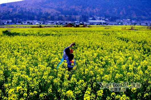 　　不論從人文氣息還是田園自然風(fēng)光,都值得我們?？?。(圖片來源:CFP)