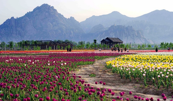 別樣蜜月，河南最適宜新婚度假的景區(qū)