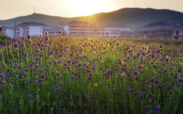 別樣蜜月，河南最適宜新婚度假的景區(qū)