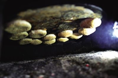 吊爐燒餅是黃驊最典型的面食之一，這種手藝在一些老院子里已經(jīng)傳承了上百年時間。