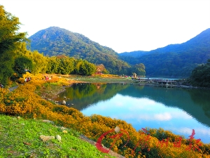 初冬的石門森林公園色彩絢爛。