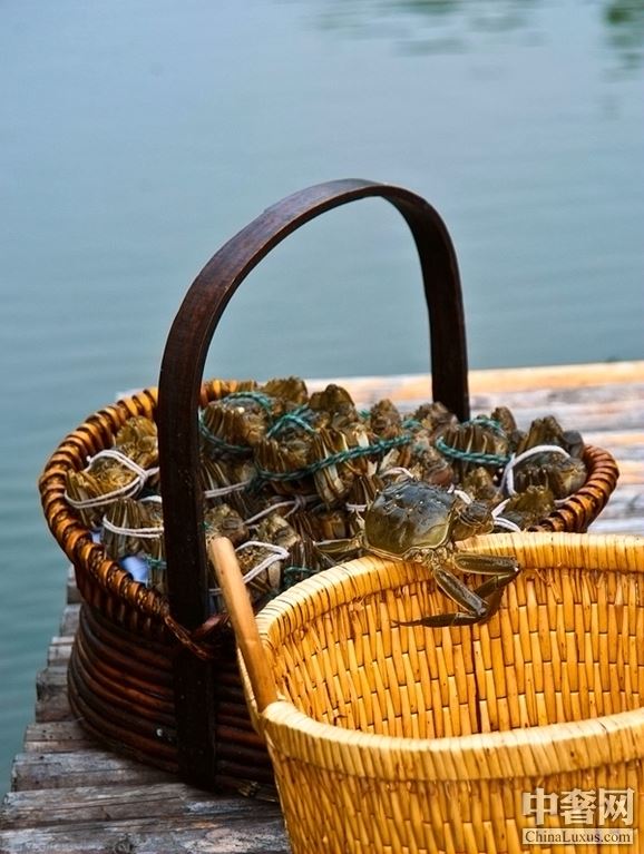 陽澄湖滋味“蟹”逅 費(fèi)爾蒙嘗盡時令大閘蟹 陽澄湖滋味“蟹”逅 費(fèi)爾蒙嘗盡時令大閘蟹