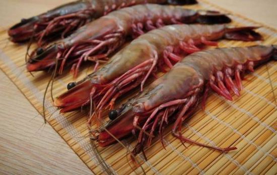 秋季最適合吃的海鮮是這10種 你吃對了嗎？