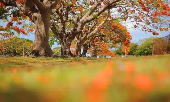 適合在冬天旅游的十個絕美海島！