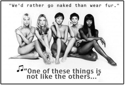 時尚圈第一組群?？棺h皮草大片