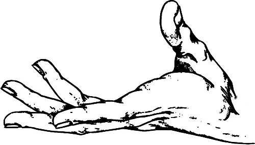 　時(shí)間：拿到通知書，未報(bào)到就可申請(qǐng)