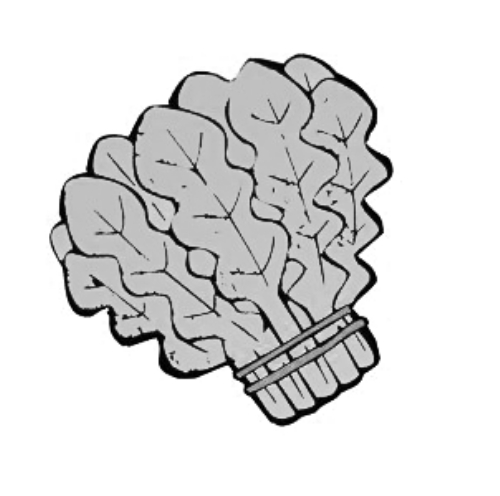 雪后菜價(jià)瘋漲15倍？沒恁夸張 元旦豬肉雞蛋或漲價(jià)