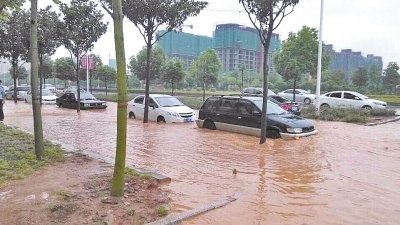 昨日，信陽突降暴雨，路面積水已淹沒輪胎。首席記者 何正權(quán) 通訊員 楊小燕 攝影