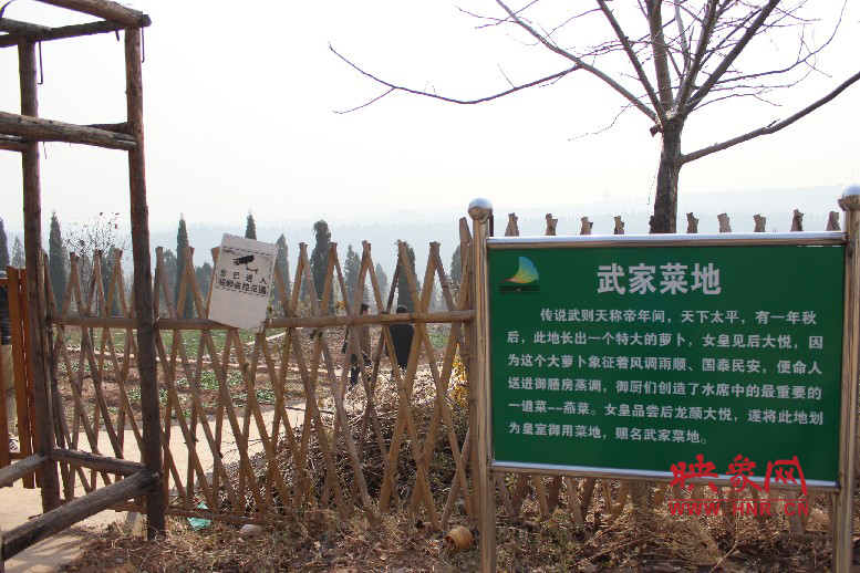 武家菜地就是這，據(jù)說里面有個特大的蘿卜