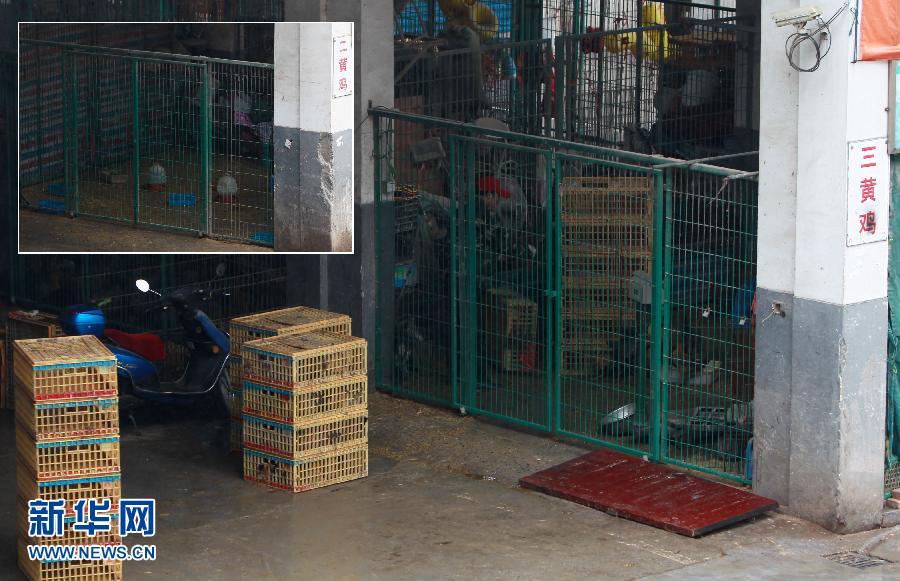 上海6日起暫停活禽交易 關(guān)閉所有活禽交易市場 上海6日起暫?;钋萁灰?關(guān)閉所有活禽交易市場