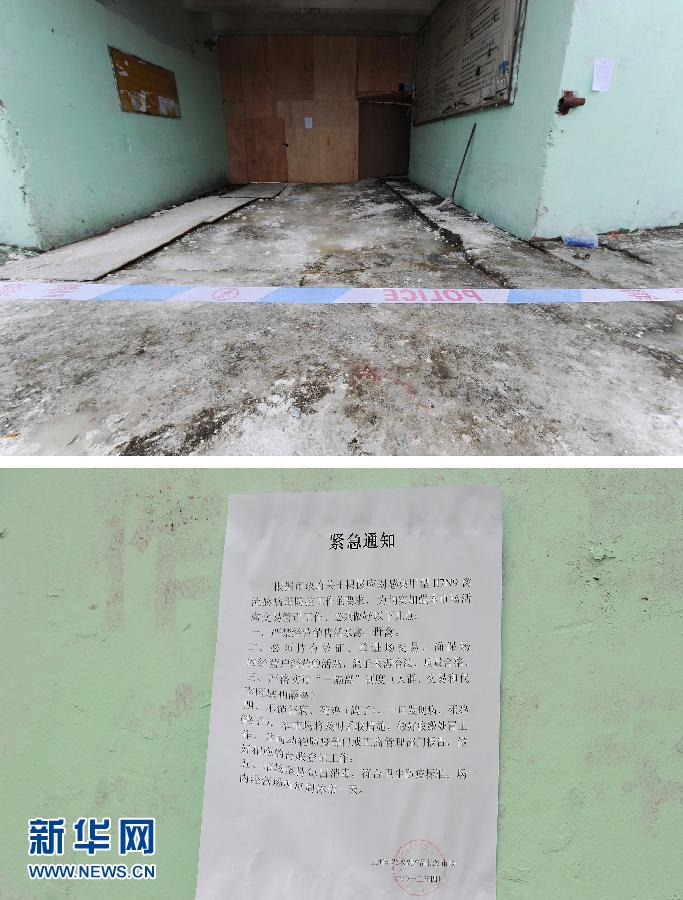 上海6日起暫?;钋萁灰?關(guān)閉所有活禽交易市場 上海6日起暫停活禽交易 關(guān)閉所有活禽交易市場