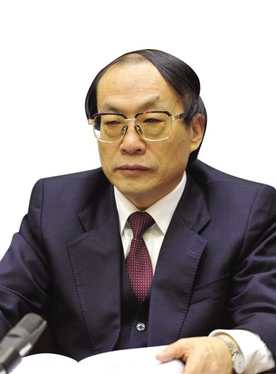 劉志軍（資料圖片）。新華社發(fā)