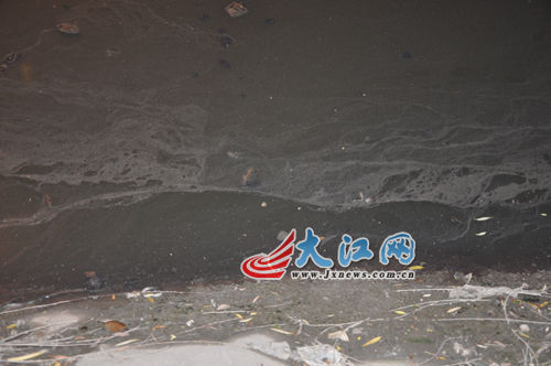 19日晚上的玉帶河，紅色河水變回灰綠色。