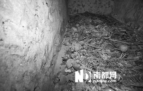 　5月29日，在以色列特拉維夫市雅法地區(qū)，一處集體墳?zāi)贡话l(fā)現(xiàn)。