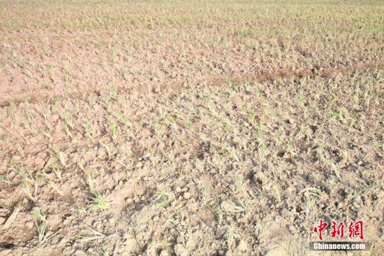 2014年7月31日早晨，浙江紹興市區(qū)蔬菜批發(fā)市場旁邊的土地已經(jīng)發(fā)生開裂。