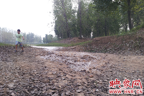 18日丹江水沿澎河流向白龜山水庫，孩子歡騰起來，跟著水頭奔跑。