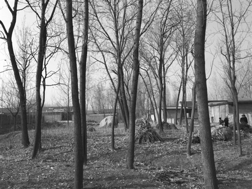 486臺兒莊戰(zhàn)役將士埋骨荒野 紀念設施或年內落成